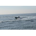 Anıl Marin Sport Tekne 515 BR